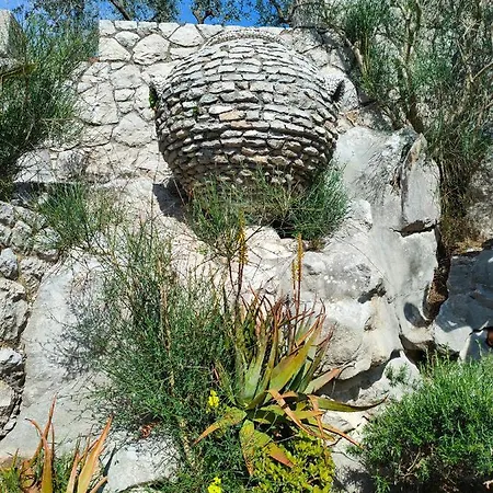 Cynara House *