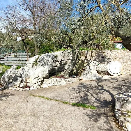 Cynara House