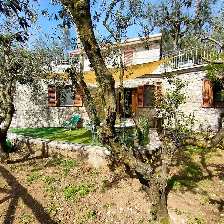 Holiday home Cynara House