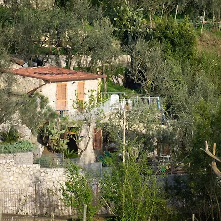 Cynara House Casa de férias