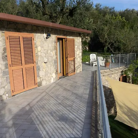 Cynara House *