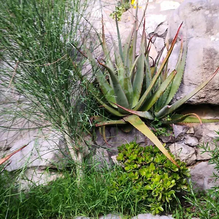Cynara House Ferienhaus Massa Lubrense