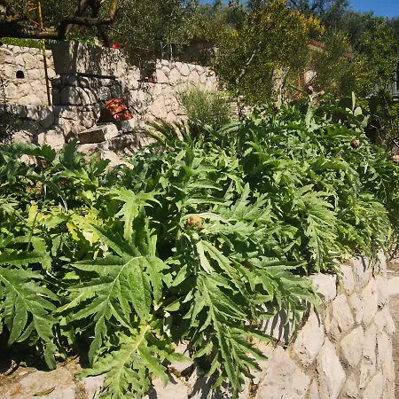 Cynara House Ferienhaus *